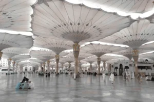 مظلات سيارات الرياض